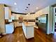 1132 Georgias, New Lenox, IL 60451