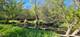 8311 Haligus, Huntley, IL 60142