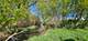 8311 Haligus, Huntley, IL 60142