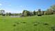 8311 Haligus, Huntley, IL 60142