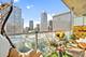 550 N St Clair Unit 1904, Chicago, IL 60611
