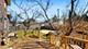 6909 Beckwith, Morton Grove, IL 60053