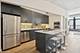 728 W Jackson Unit 505, Chicago, IL 60661
