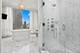 9 W Walton Unit 1702, Chicago, IL 60610