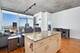 1720 S Michigan Unit 1602, Chicago, IL 60616