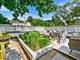 1729 W Potomac, Chicago, IL 60622