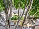 1729 W Potomac, Chicago, IL 60622