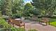 520 S Washington Unit 201, Naperville, IL 60540