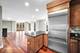 520 S Washington Unit 201, Naperville, IL 60540