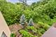 231 Windham, Yorkville, IL 60560