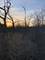 231 Windham, Yorkville, IL 60560