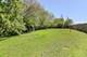 1119 S Grace, Lombard, IL 60148