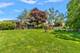 17206 Wentworth, Lansing, IL 60438