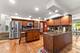 17206 Wentworth, Lansing, IL 60438