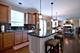 13464 Skyline, Plainfield, IL 60585