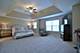 13464 Skyline, Plainfield, IL 60585