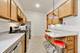 938 W Newport, Chicago, IL 60657