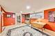 938 W Newport, Chicago, IL 60657