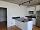 1845 S Michigan Unit 1107, Chicago, IL 60616
