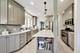 1126 N Grove, Oak Park, IL 60302