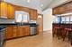 10527 S Harding, Chicago, IL 60655