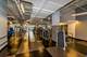 225 N Columbus Unit 6204, Chicago, IL 60601