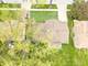 265 Fern, Elk Grove Village, IL 60007