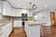 28 Washington, La Grange, IL 60525