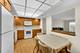 825 Center Unit 505, Des Plaines, IL 60016