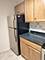 5100 N Marine Unit 9F, Chicago, IL 60640