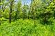 26359 N Hickory, Mundelein, IL 60060