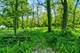 26359 N Hickory, Mundelein, IL 60060