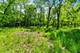 26359 N Hickory, Mundelein, IL 60060