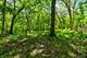 26359 N Hickory, Mundelein, IL 60060