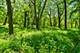26359 N Hickory, Mundelein, IL 60060