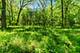 26359 N Hickory, Mundelein, IL 60060