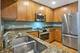 1910 S State Unit 234, Chicago, IL 60616