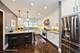 305 N Elmwood, Oak Park, IL 60302