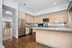171 W Goethe Unit B, Chicago, IL 60610