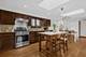 7260 W Fitch, Chicago, IL 60631