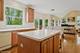 1048 N Palos, Palatine, IL 60067