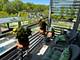 9655 Woods Unit 402, Skokie, IL 60077