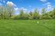 23568 N Birkdale, Kildeer, IL 60047
