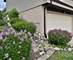 416 Trinity, Buffalo Grove, IL 60089