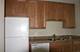 111 E Chestnut Unit 15F, Chicago, IL 60611