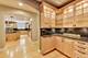 5851 N Newark, Chicago, IL 60631