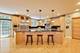 5851 N Newark, Chicago, IL 60631