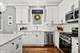 866 N Paulina Unit 1, Chicago, IL 60622