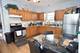 4825 W Hutchinson Unit 2, Chicago, IL 60641