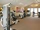 213 Glengarry Unit 209, Bloomingdale, IL 60108